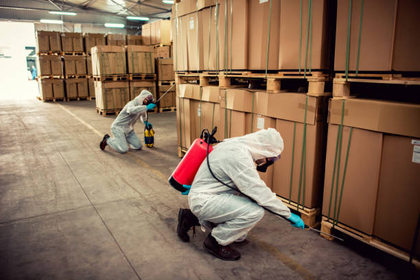 Best Exterminator Services  in Esko, MN