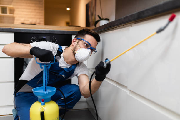 Best Best Pest Control Companies  in Esko, MN