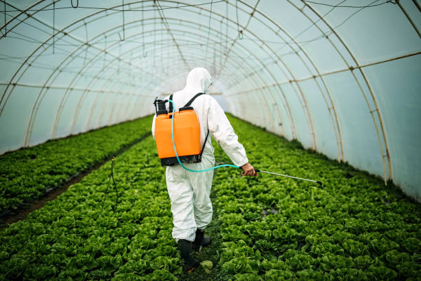 Best Pest Control Near Me  in Esko, MN