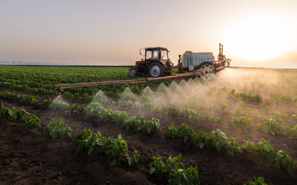 Professional Pest Control in Esko, MN