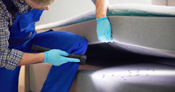 Best Affordable Pest Control Services  in Esko, MN