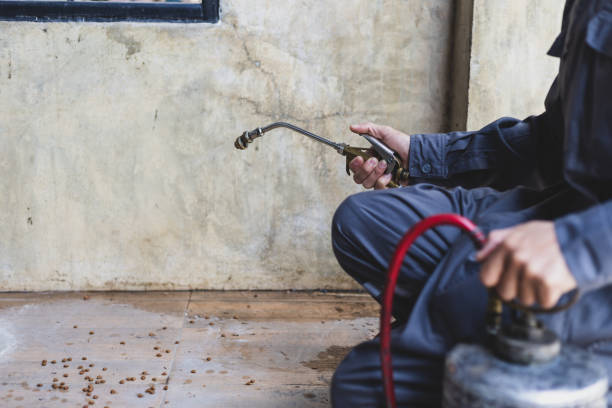 Best Best Pest Control Companies  in Esko, MN